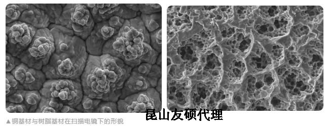 开封蔡司开封扫描电镜